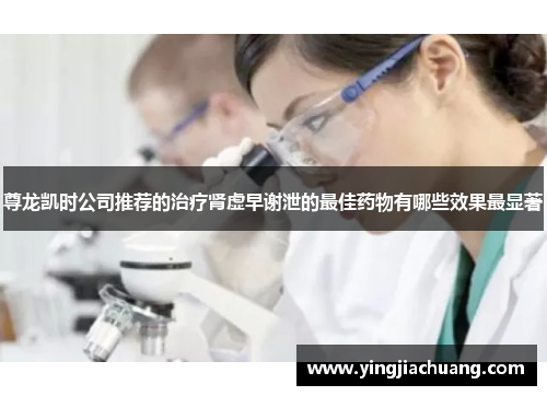 尊龙凯时公司推荐的治疗肾虚早谢泄的最佳药物有哪些效果最显著