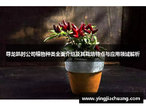 尊龙凯时公司植物种类全面介绍及其栽培特点与应用领域解析