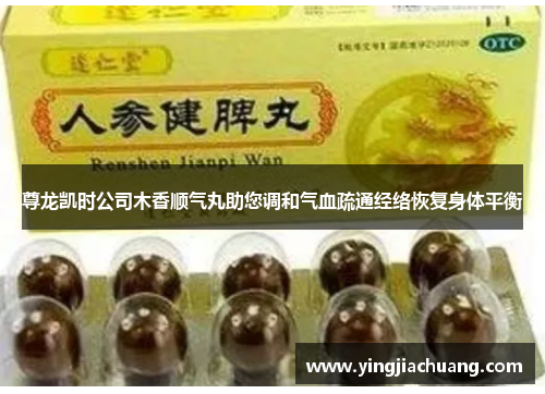 尊龙凯时公司木香顺气丸助您调和气血疏通经络恢复身体平衡