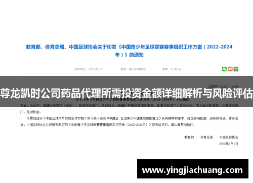 尊龙凯时公司药品代理所需投资金额详细解析与风险评估