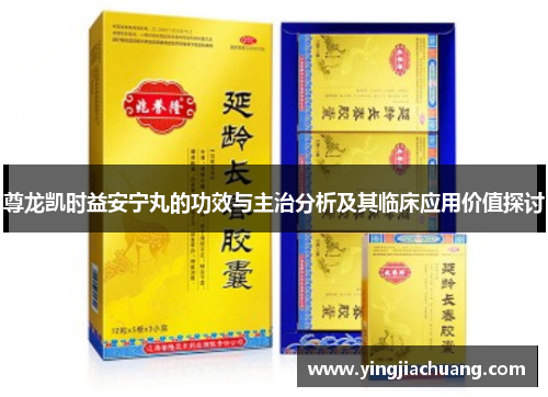 尊龙凯时益安宁丸的功效与主治分析及其临床应用价值探讨