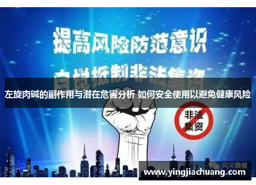 左旋肉碱的副作用与潜在危害分析 如何安全使用以避免健康风险